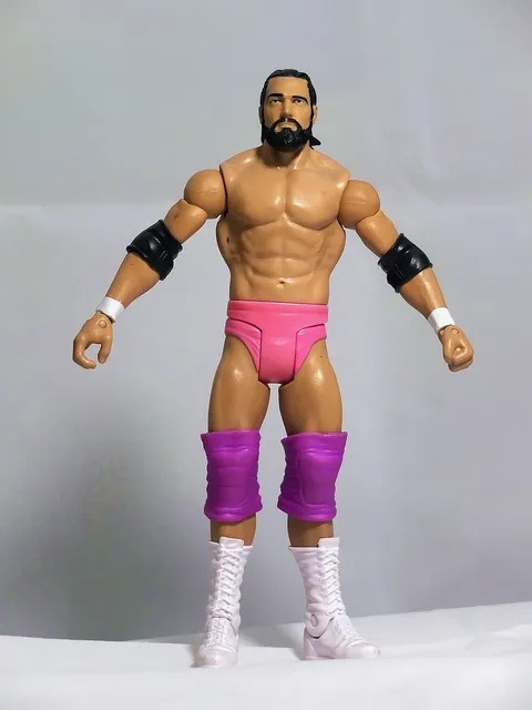 *Just Released* $2.00 off WWE FlexForce Figure