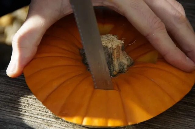 75 FREE Pumpkin Carving Templates