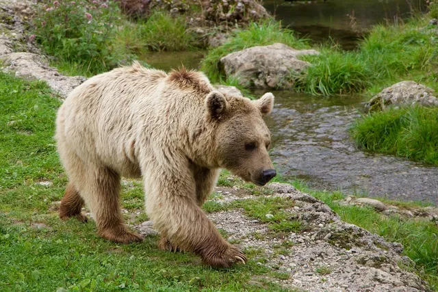 Rugged Bear Jackets just $19.99 (Save over 70%)