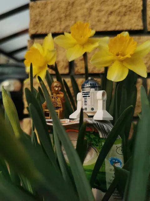 LEGO 2012 Star Wars & Lego City Advent Calendars Deals