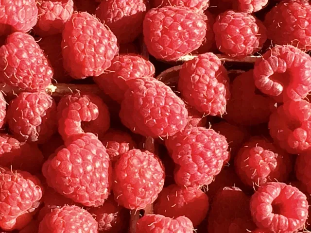 Summer Drinks: Sweet and Fruity Recipe FREE eBook!!