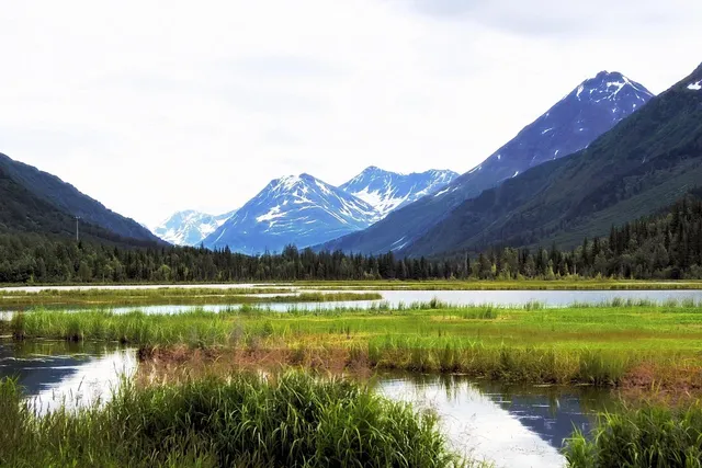 {Freebie} Alaska Vacation Planner