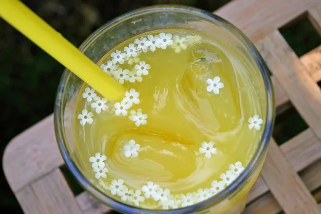 *Just Released* $1.10 off Joint Juice Ready-to-Drink
