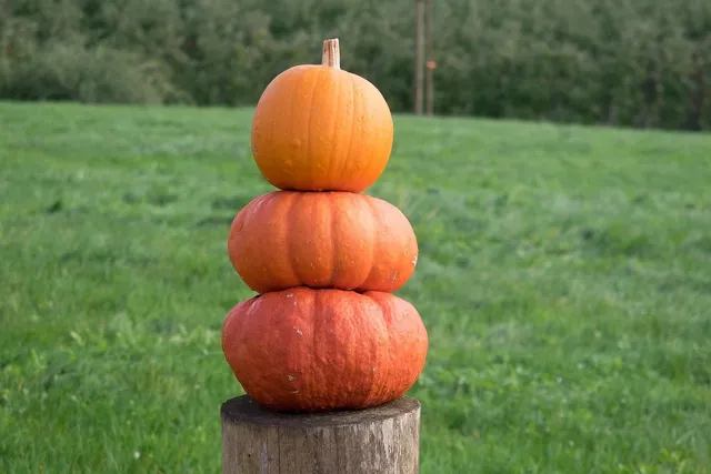 24 Cute, Creepy, and Easy Halloween Recipes FREE!!