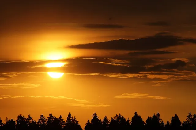 *Just Released* $1.00 off any Vitamin D Nature Made