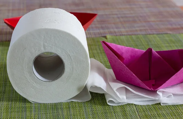 Quilted Northern Ultra Plush Toilet Paper StockUp Price! ($0.24/roll)