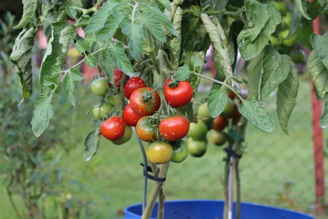 *Just Released* $1.00 off Any ONE Hot Shot Insecticide product
