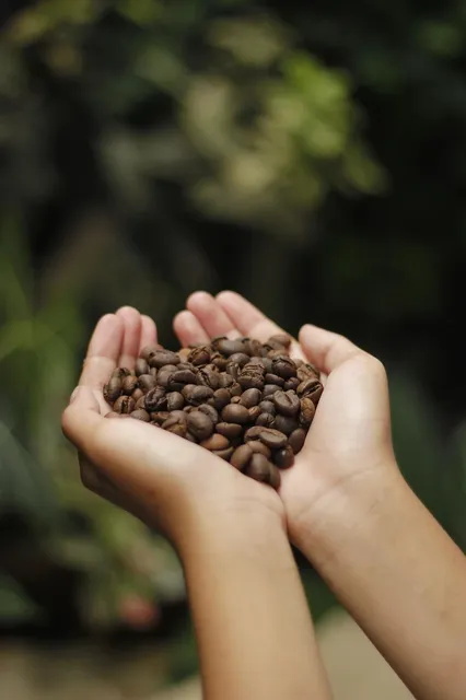 Free Folgers Samples on Facebook