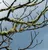 Rainforest-Jumperoo-_EMAIL