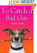 To Catch a Bad Guy