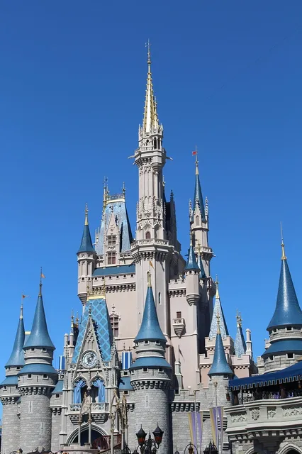 {Freebie} Disney Parks & Disney Cruise Vacation Planning DVD’s