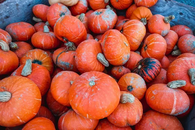 Halloween and Thanksgiving Cards $0.79 Shipped!!