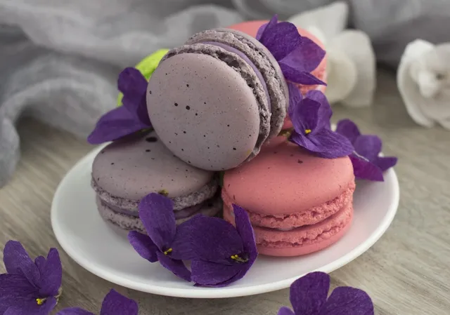 Best Prices on Paper Products RoundUp 5/13-5/19