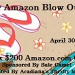 summer-blow-out-button1