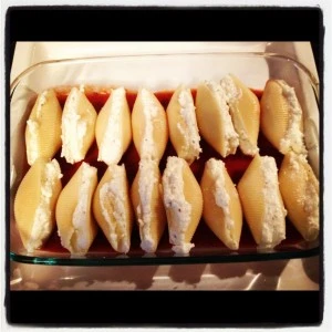 shells2