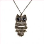 owl4