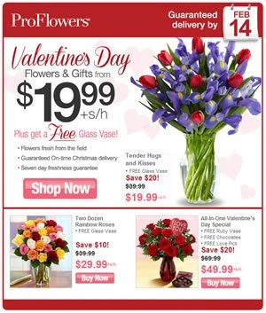 Send Flowers for Valentine’s Day from $19.99 & Free Glass Vase!
