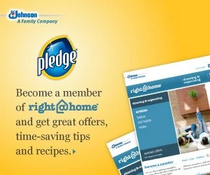 Money-Savings offers from the Makers of Pledge.